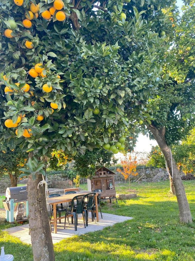 Apartment Quinta De Areias Crespos المظهر الخارجي الصورة